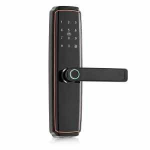A02 Smart Fingerprint Door Lock System